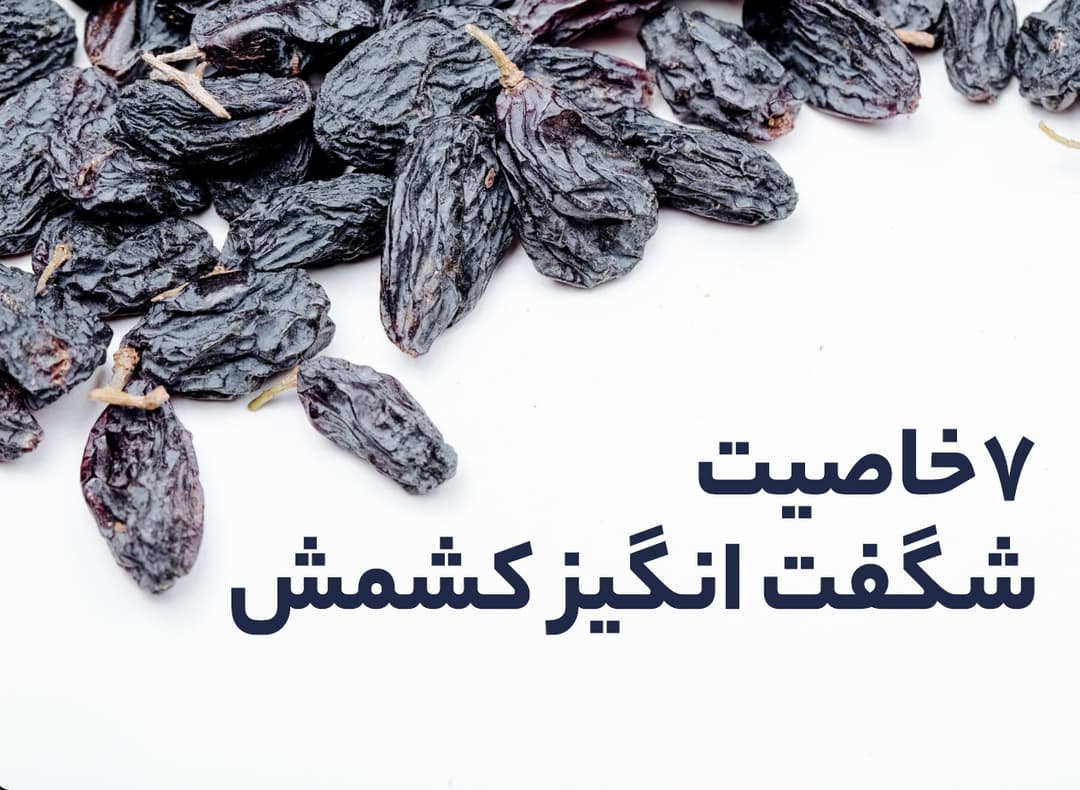 https://storage.paprikaa.ir/yarbod/BlogPosts-cf42d505-6124-4d4b-9ede-4ae67d859e48.webp