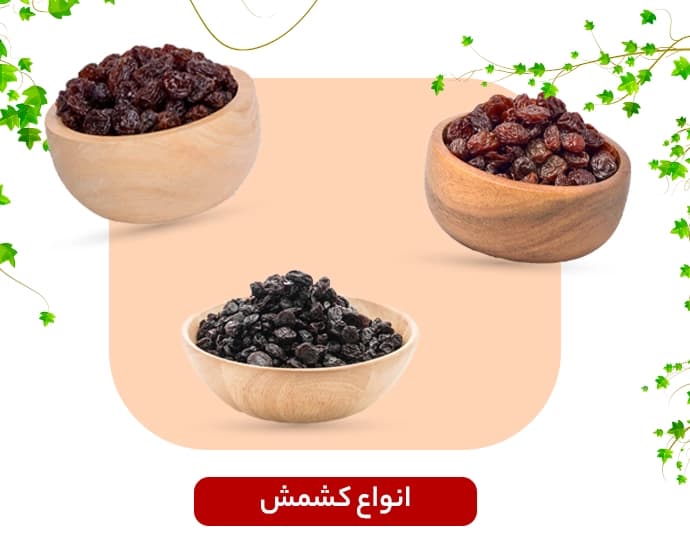 کشمش و مویز یاربد